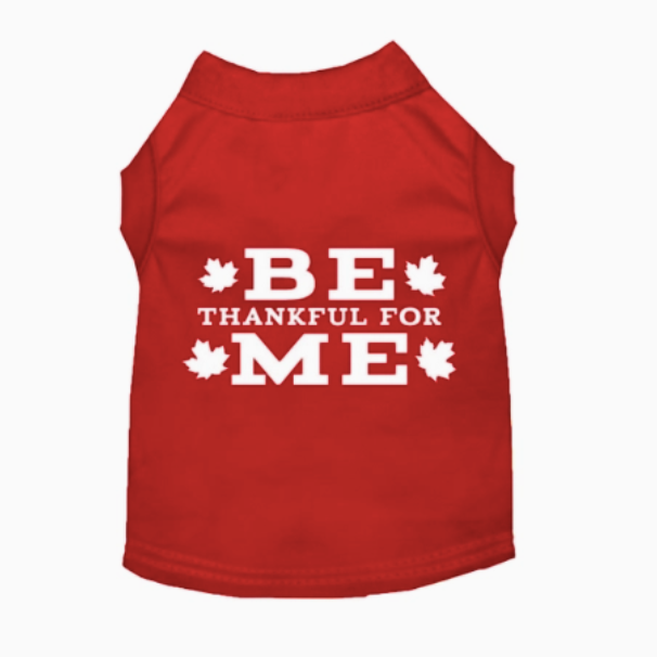 Be Thankful for Me Classic Tee - image 2