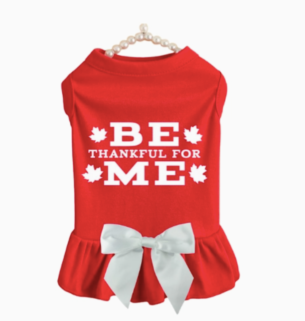 Be Thankful for Me Harvest Ruffle Dress - image 2