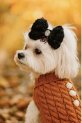 Load image into Gallery viewer, Wicked Whisper Dog Hair Bow
