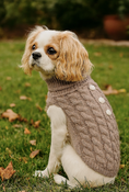 Load image into Gallery viewer, Pumpkin Pie Pearl Knit Dog Sweater
