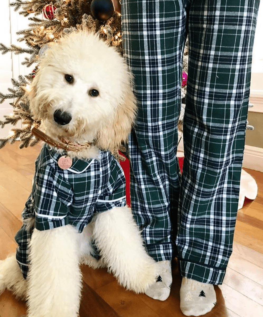 Green Plaid Flannel Matching Human Pajamas - Southlake Paws