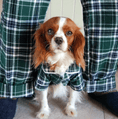 Load image into Gallery viewer, Green Plaid Flannel Matching Human Pajamas - Southlake Paws
