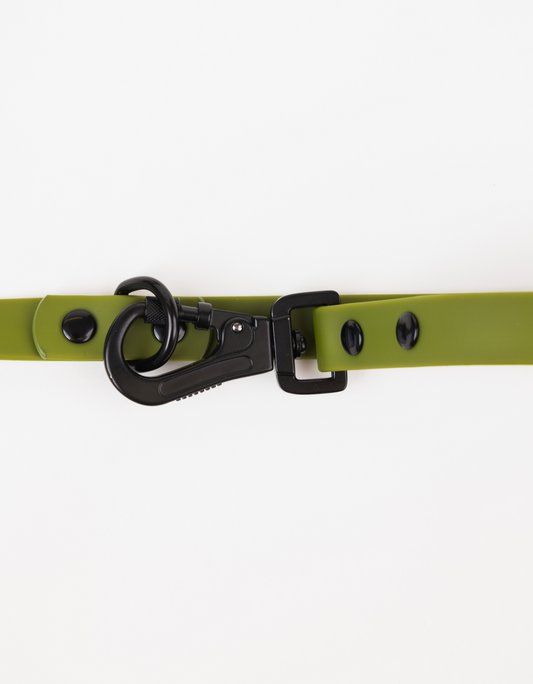 Olive green adjustable dog leash with a black metal clip and buckle, featuring black button accents.