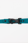 Load image into Gallery viewer, The Modern Dog Company - Forest Green Adjustable Leash
