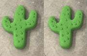 Cactus Treats - Set of 2