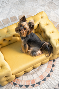 Load image into Gallery viewer, The Glamour Luxury Pet Bed in Pink

