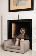 Load image into Gallery viewer, The Mystique Luxury Pet Sofa Bed
