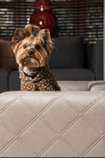 Load image into Gallery viewer, The Mystique Luxury Pet Sofa Bed
