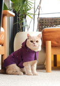 Load image into Gallery viewer, Capsule Raincoat - Blue
