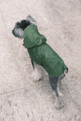 Load image into Gallery viewer, Capsule Raincoat - Green
