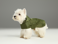 Load image into Gallery viewer, Capsule Raincoat - Green

