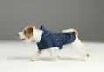 Load image into Gallery viewer, Capsule Raincoat - Blue
