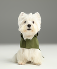 Load image into Gallery viewer, Capsule Raincoat - Green
