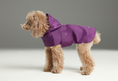 Load image into Gallery viewer, Capsule Raincoat - Purple
