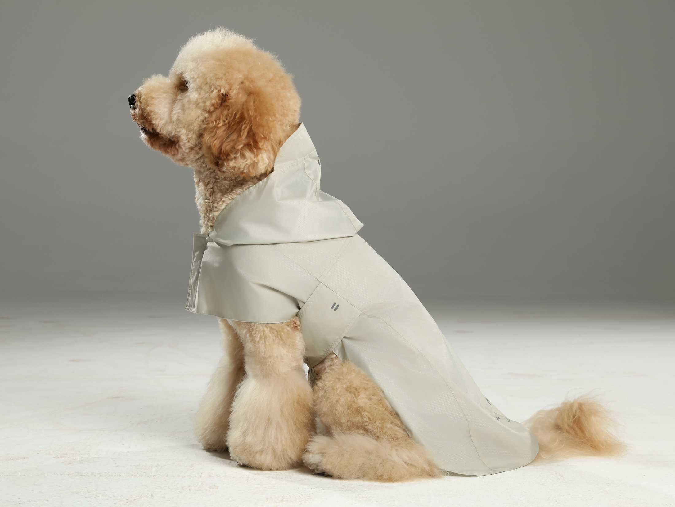 Capsule Raincoat - Beige