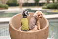 Load image into Gallery viewer, CHILL VEST SHIRT - GREEN

