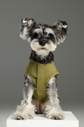 Load image into Gallery viewer, CHILL VEST SHIRT - GREEN
