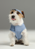 Load image into Gallery viewer, CHILL VEST SHIRT - BLUE
