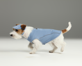 Load image into Gallery viewer, TENNIS HAT - BLUE
