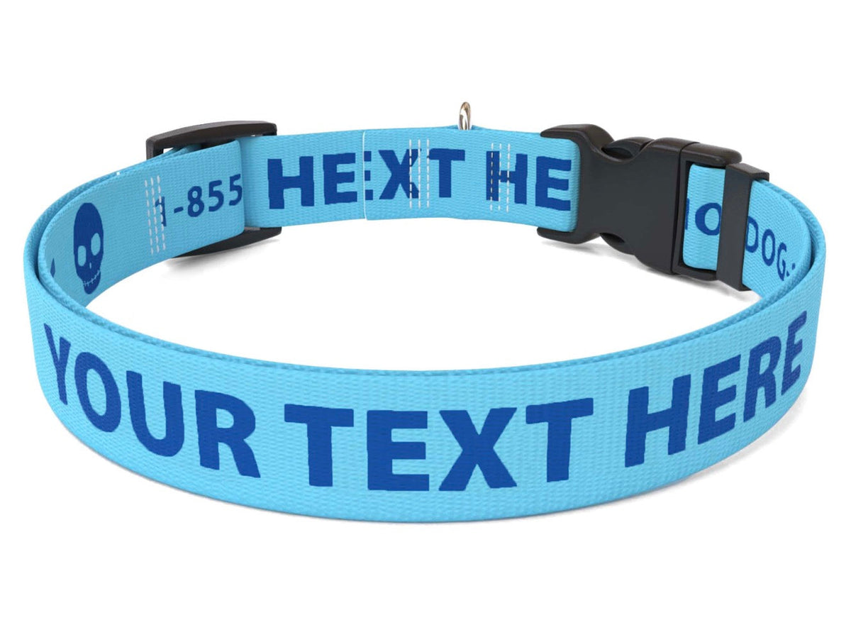 Collored Collars Personalized Solid Colored Collar | Southlake Paws