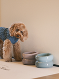 Load image into Gallery viewer, Soufflé Pet Bowl - Frozen Blue
