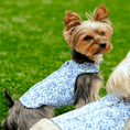 Load image into Gallery viewer, Blue Floral Toile Harness
