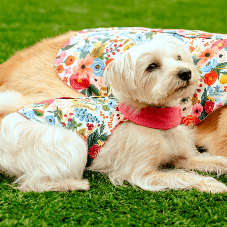 Floral Burst Harness in Peony Fuchsia