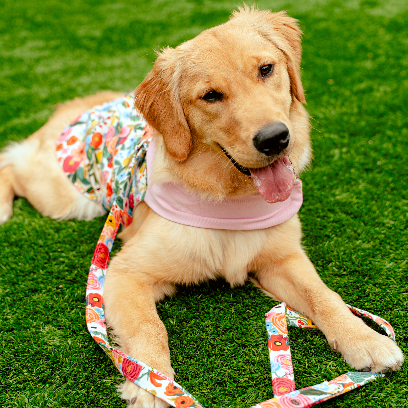 Floral Burst Harness in Cherry Blossom Pink