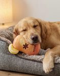 Load image into Gallery viewer, Haute Toddy

