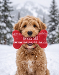 Load image into Gallery viewer, Apres Ski Fairisle Bone
