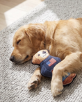 Load image into Gallery viewer, Ruff Lauren Teddy Dog
