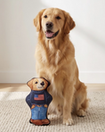 Load image into Gallery viewer, Ruff Lauren Teddy Dog
