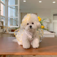 Load image into Gallery viewer, White Daisy Dog Dress
