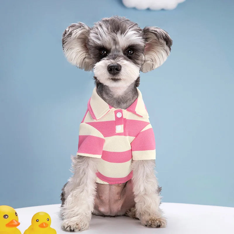 Striped Polo Dog Shirt - Southlake Paws