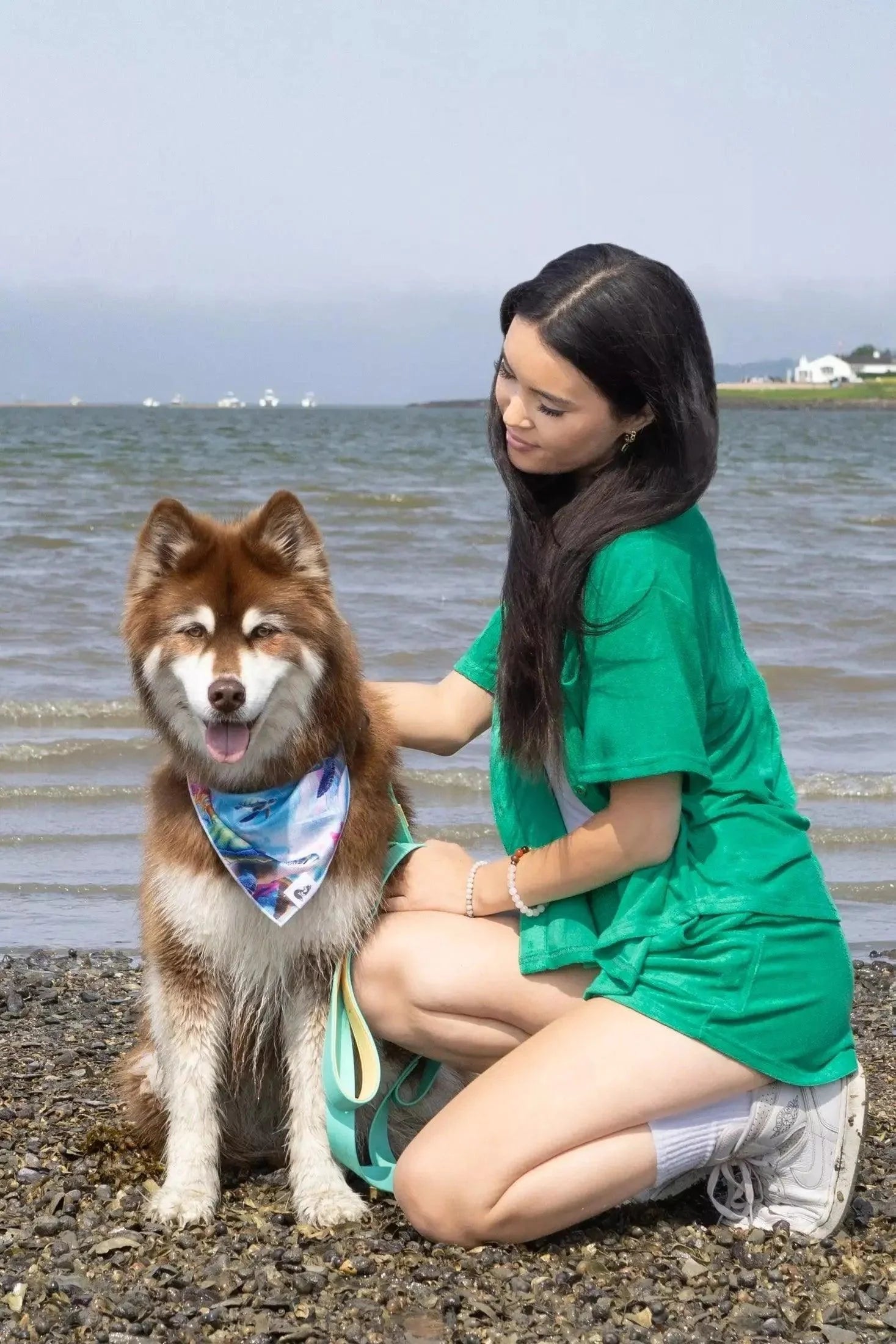 Sea Turtle Swim Dog Bandana - Southlake Paws