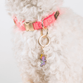 Load image into Gallery viewer, Summer Drink & Seahorse Pet Charm Set
