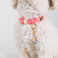 Load image into Gallery viewer, Summer Drink & Seahorse Pet Charm Set
