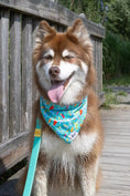 Load image into Gallery viewer, Seaside Sips Dog Bandana & Matching Keychain - Southlake Paws
