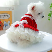 Red Velvet & Lace Holiday Party  Dog Dress