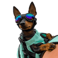Load image into Gallery viewer, K9 Sport Shades - Dog Goggles
