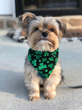 Load image into Gallery viewer, Shamrock St Patrick's Bandana
