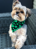 Load image into Gallery viewer, Shamrock St Patrick's Bandana
