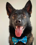 Load image into Gallery viewer, Shark Dog Bow Tie
