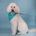 Load image into Gallery viewer, Shark Pet Bandana
