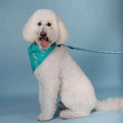 Up Country Shark Pet Bandana Made in USA Pet Accessory