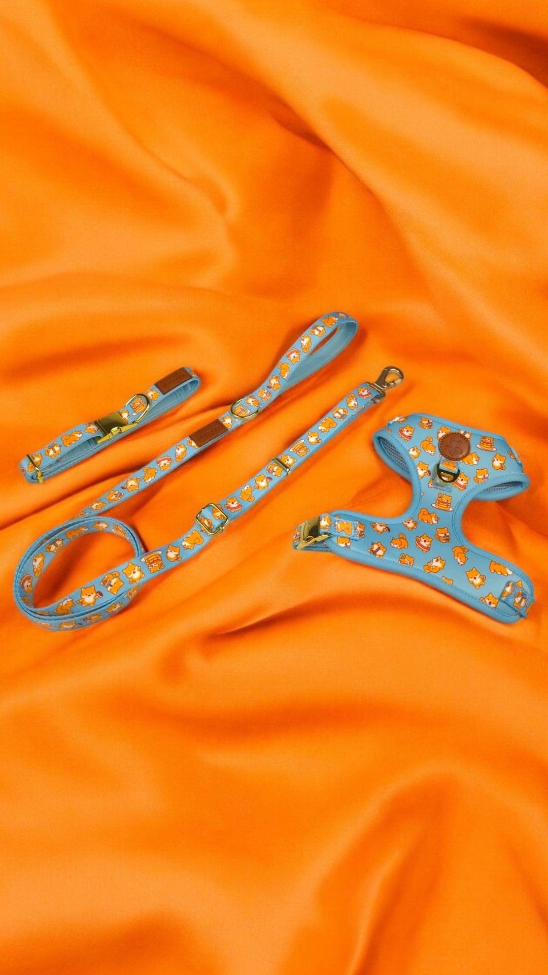 Shiba Mania Collar - Southlake Paws