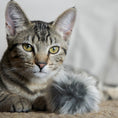 Load image into Gallery viewer, HuggleKats® Fur Ballies Cat Toys, 3 Pack - image 6

