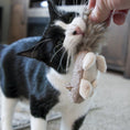 Load image into Gallery viewer, HuggleKats® Wee Fellar Squirrelie Cat Toy - image 6
