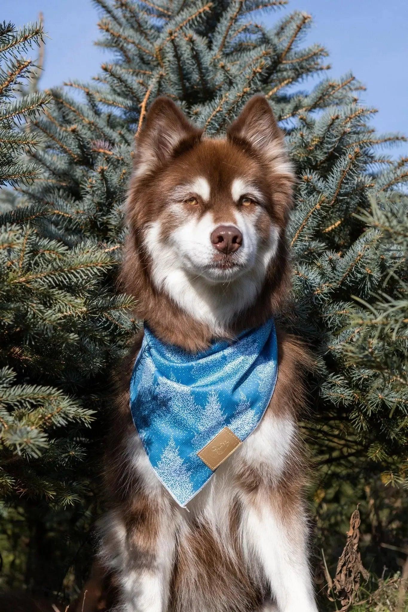 Siberian Spruce Dog Bandana - Southlake Paws