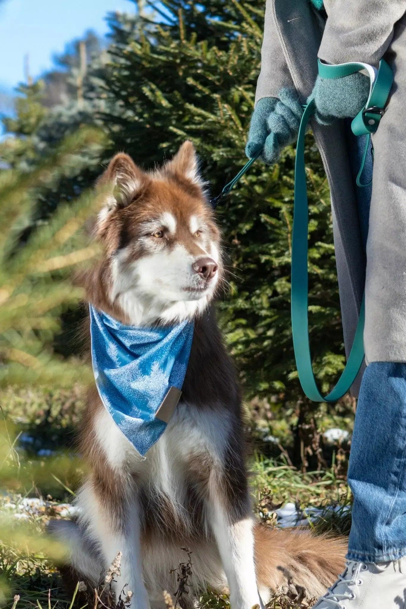 Siberian Spruce Dog Bandana - Southlake Paws